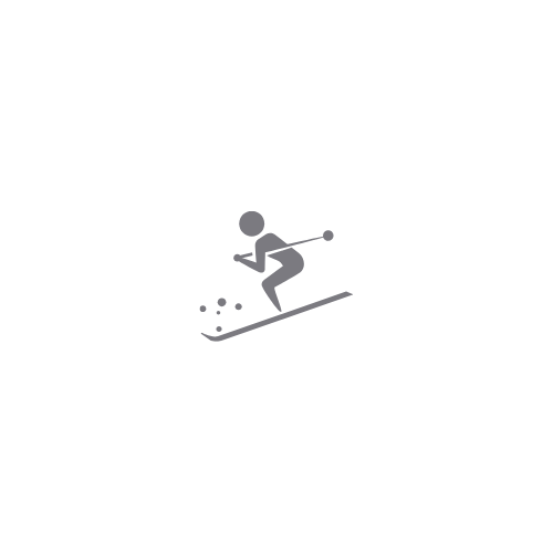 aula adaptada ao nivel de ski