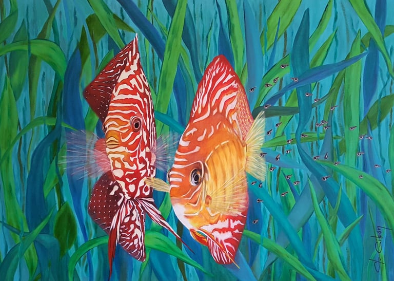 couple de poissons discus rouges et jaunes avec leurs petits au milieu des algues vertes et bleues