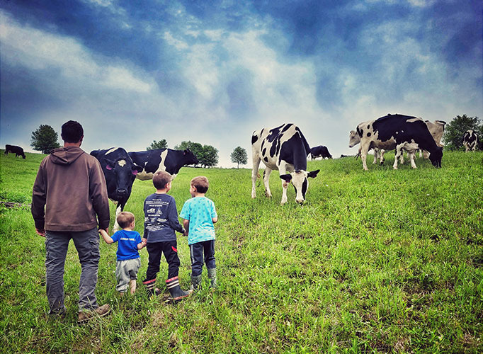 Join the TLC Club for regular farm produce