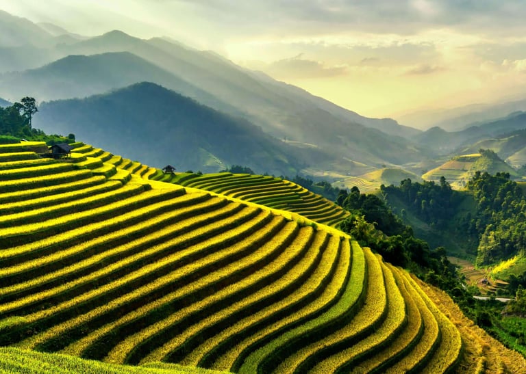 organisatrice de voyages sur mesure bali