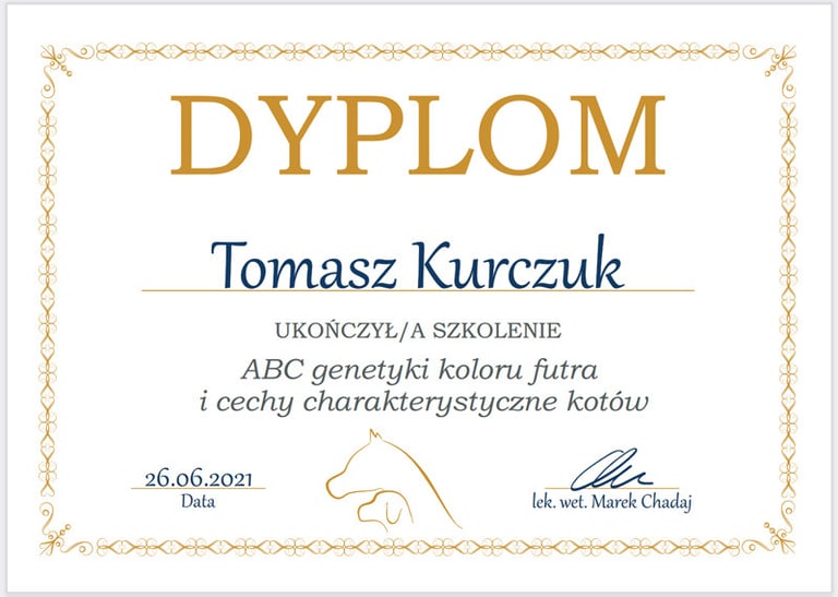 Szkolenie: ABC genetyki koloru futra i cechy charaktrystyczne kotów