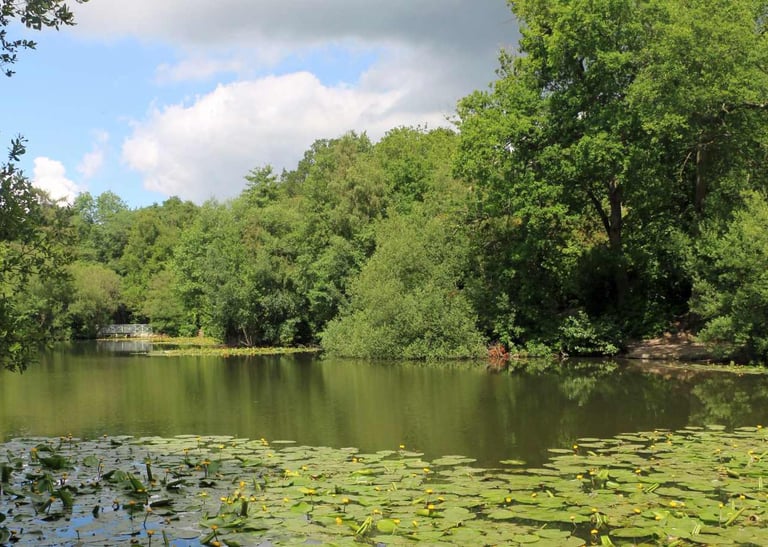 Sherwood Lake, Tunbridge Wells TN2 3LZ