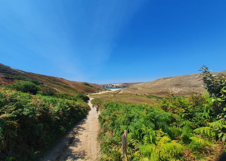 plage de D'Herlin Belle-île en Mer