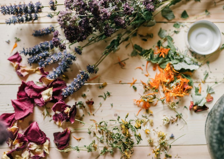 preparing herbal-infused hand salve