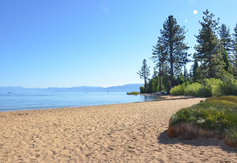 top dog friendly beaches north lake tahoe