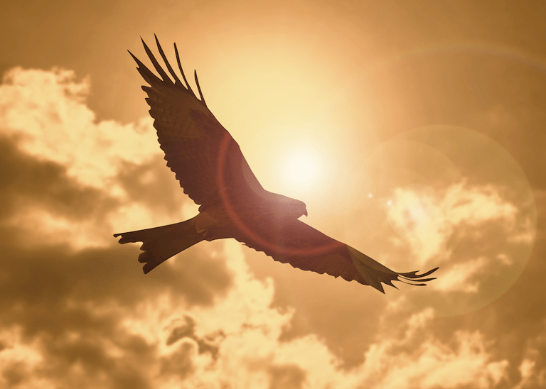 FERS Military options for pension