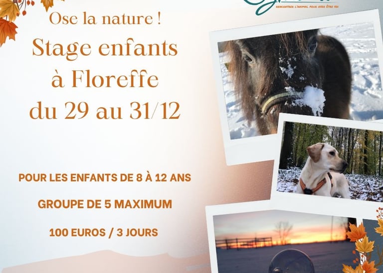stage enfants Floreffe Namur Noel 2025