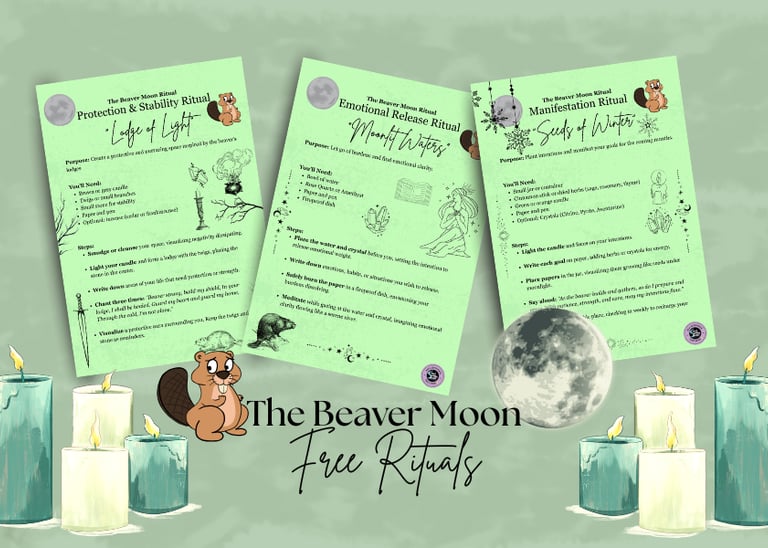 The Beaver Moon Rituals Soul Sisters Tarot