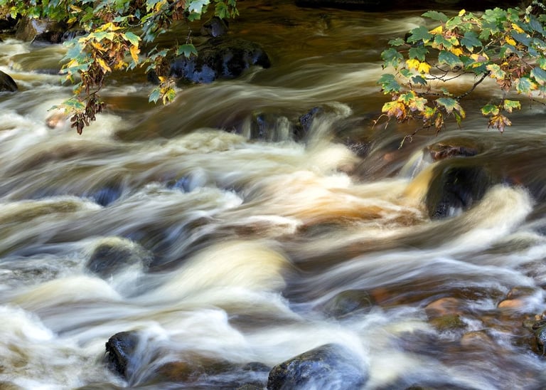colour abstract photographs of water and nature