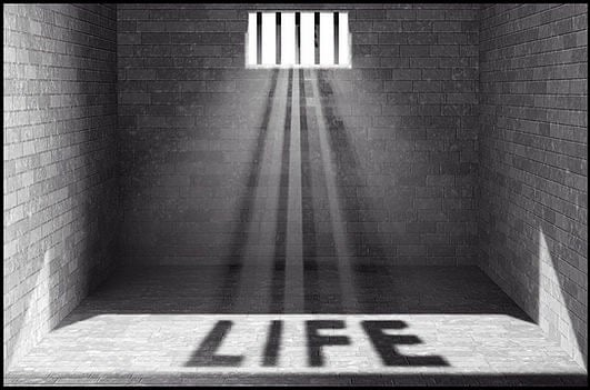 Life