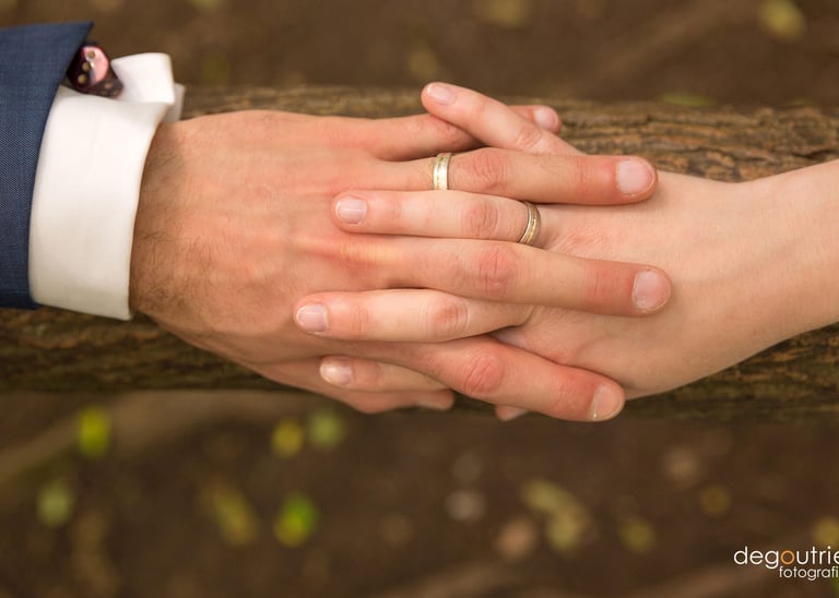 Hochzeitsfotos im Park. Hand mit Ringen.