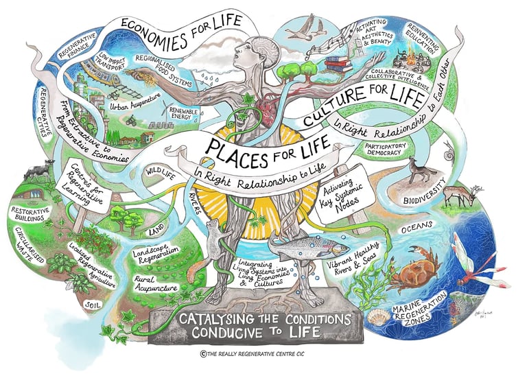 Illustration of ecosystem and Conditions for Life
