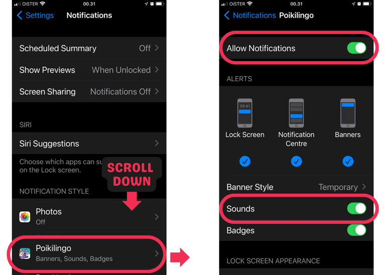 Make sure to allow Notifications & Sounds on your iOS device
