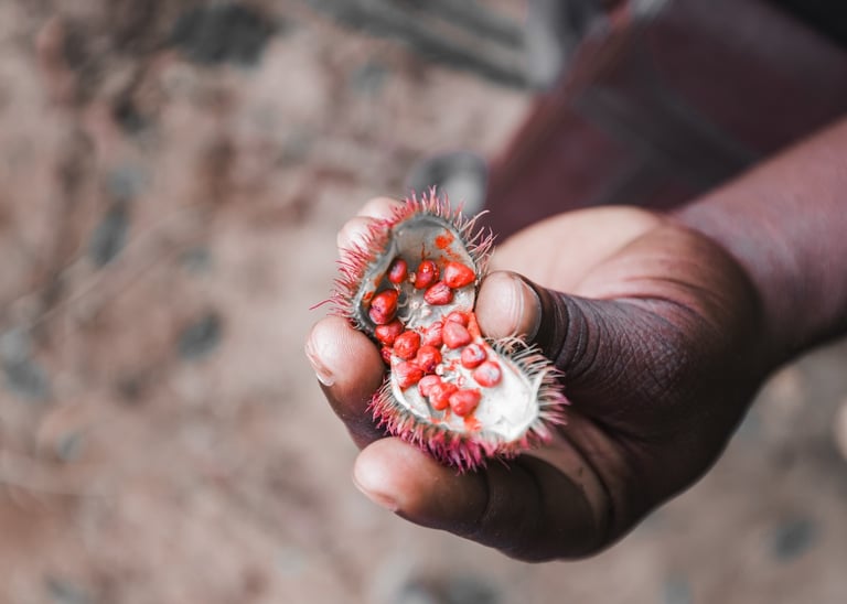 a person holding a small plant with a flower