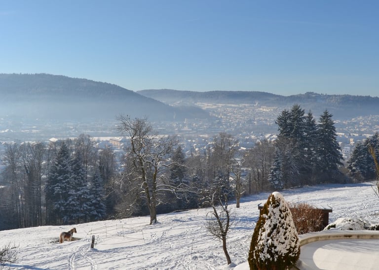 Vue enneigée sur la vallée de Remiremont 