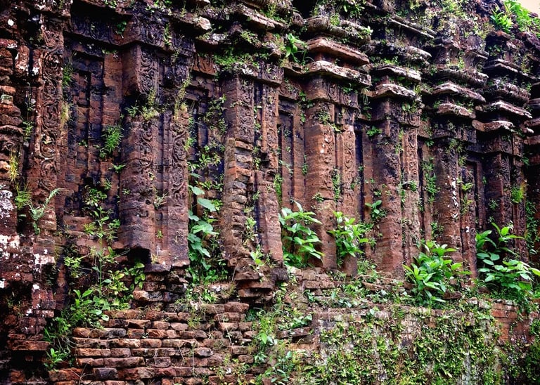 a wall of stone with a bunch of plants growing on it