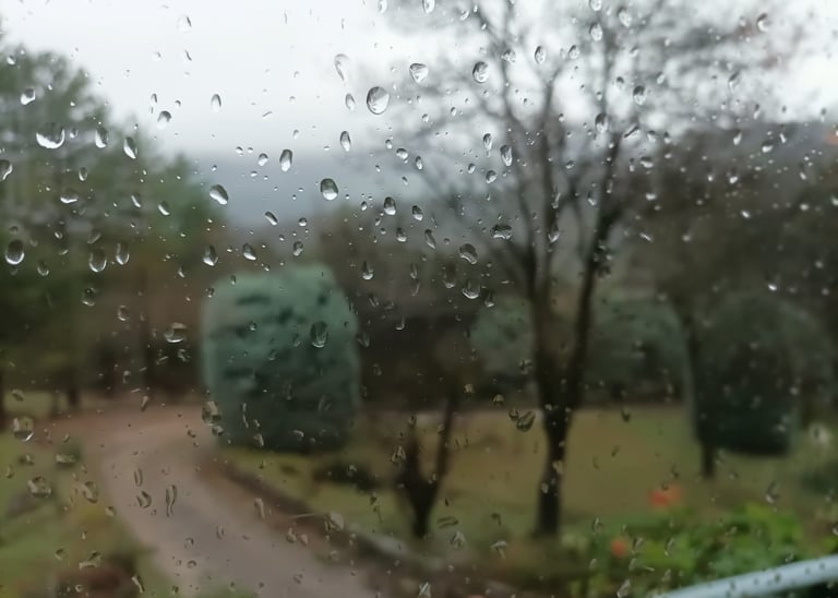 Mist covers the distant hills