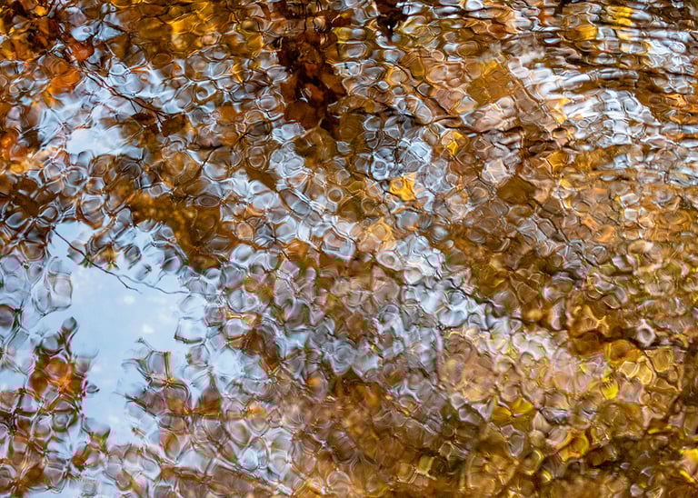 Eau et lumière Les Cevennes