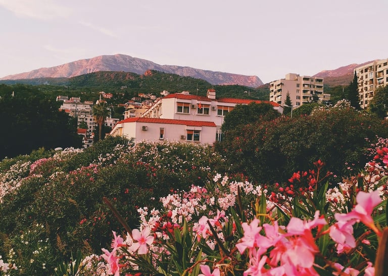 hegyi település virágos mezővel