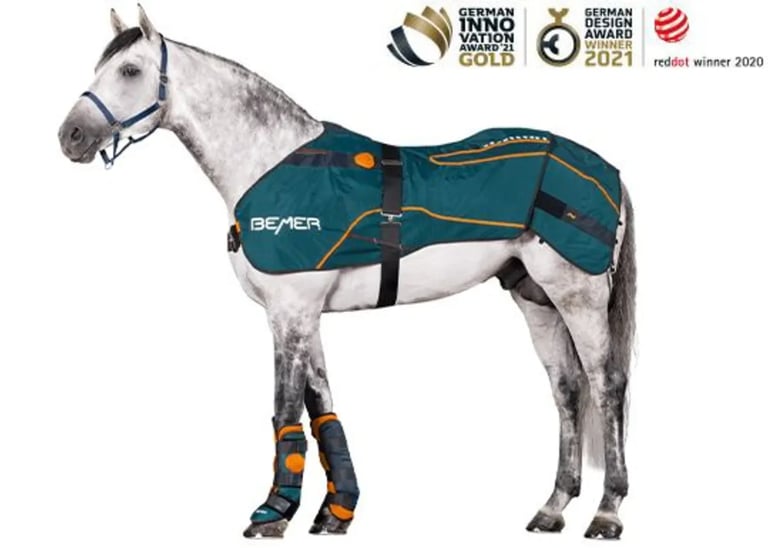 BEMER Horse Set zum Ausleihen bei Equiverita - Reitsport