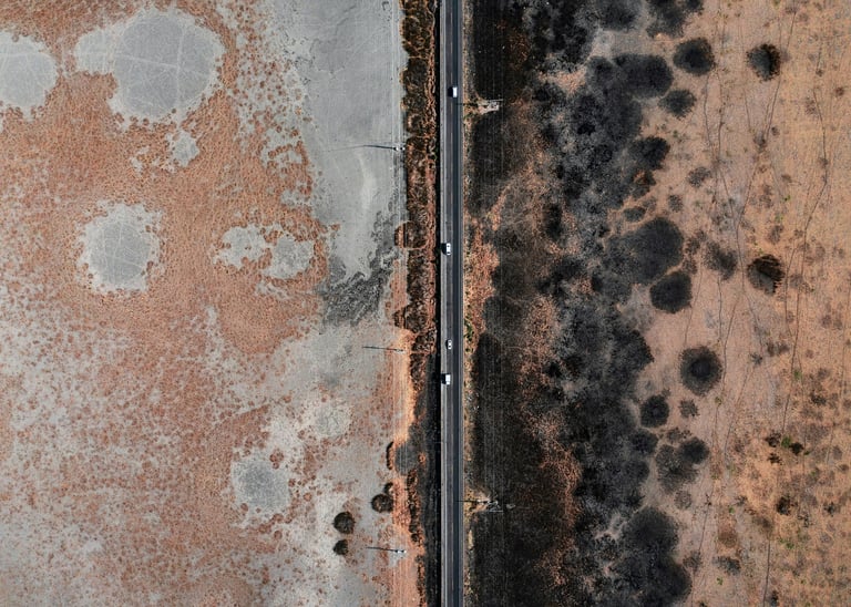 Mould
