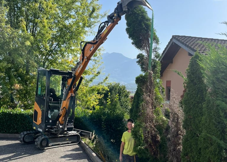 travaux exterieur grue, arbre
