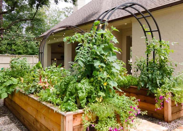 Custom Raised Bed Kitchen Garden Installation with Healthy Herbs & Vegetables