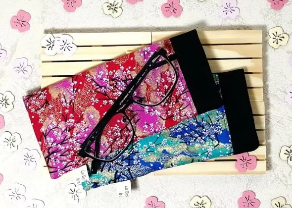 2 étuis à lunettes