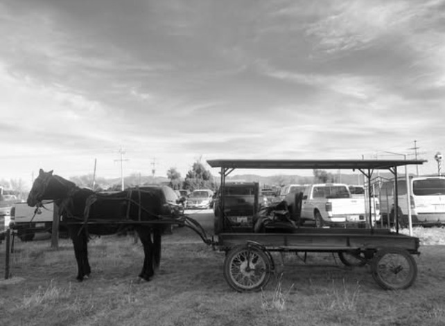 carreta menonita