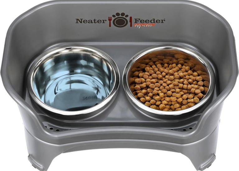 Dog food and water bowls