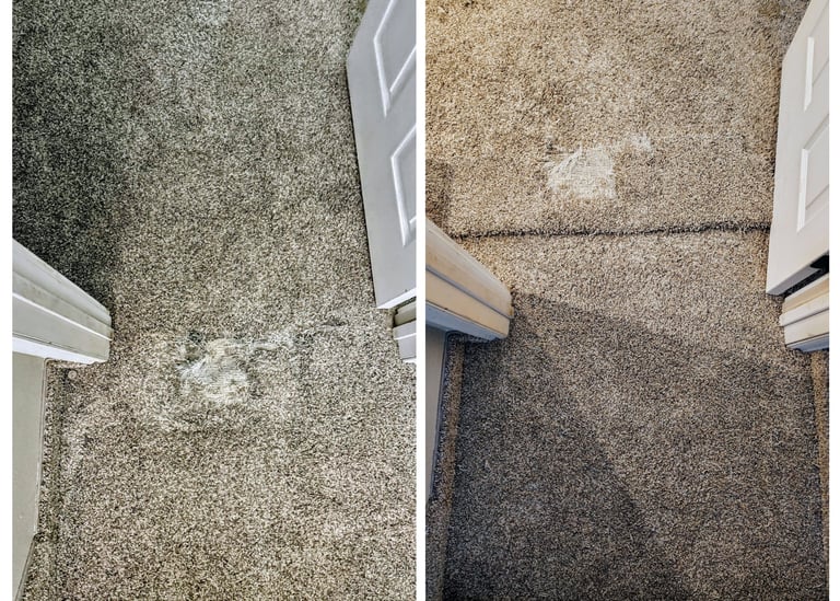 A dog dug a hole in this carpet so Flooring R&R patched a new piece in for a great price in Alpine, 