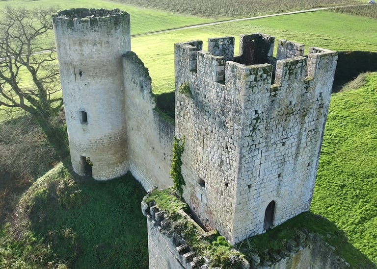 Vue aérienne des ruines médiévales de châteaux en pierre avec des tours et des remparts