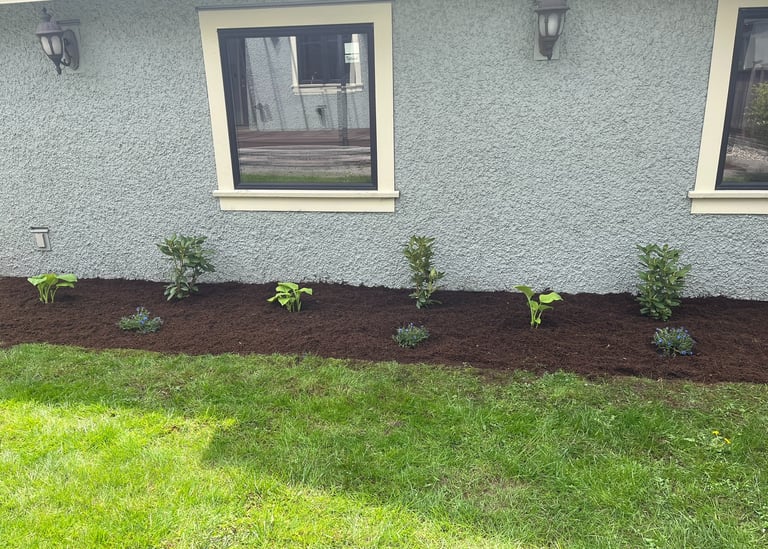 Planted garden bed