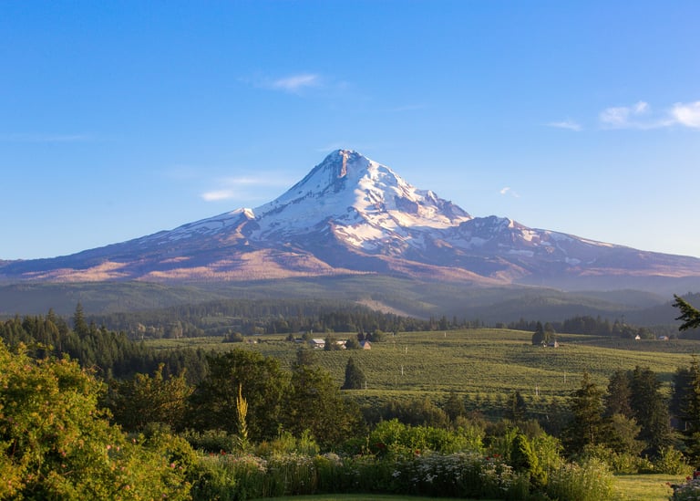 Mount Hood in the Afternoon