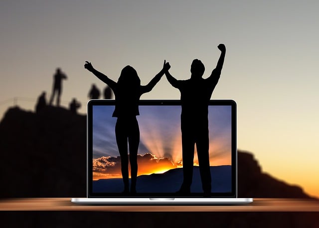 différents types de LMS et leurs caractéristiques