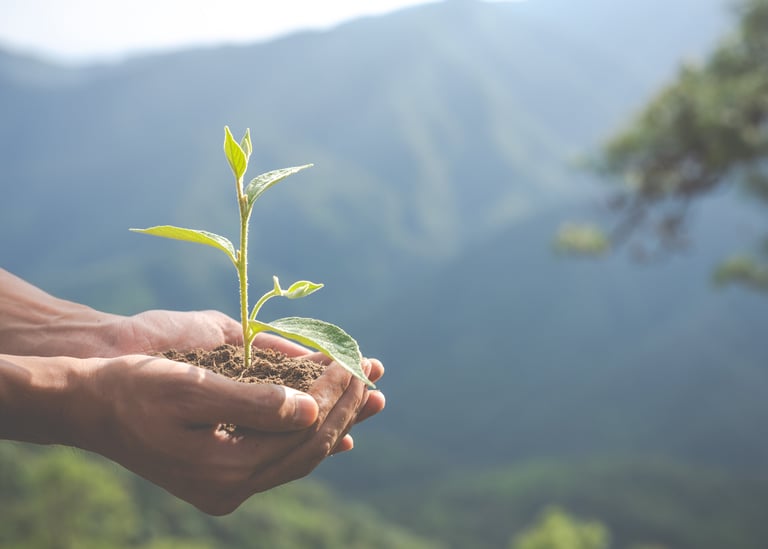 Hands holding a small green plant seedling with soil against a blurred mountain background.