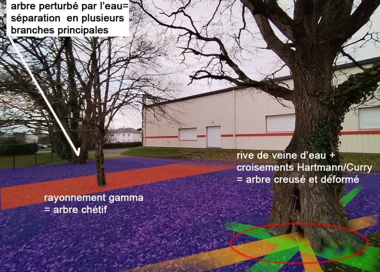 géobiologue morbihan loire-atlantique bretagne