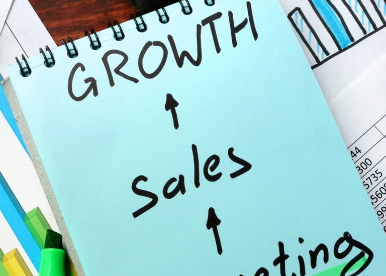 Bizolvo Consulting