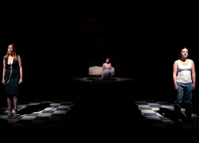 spettacolo teatrale la limonaia