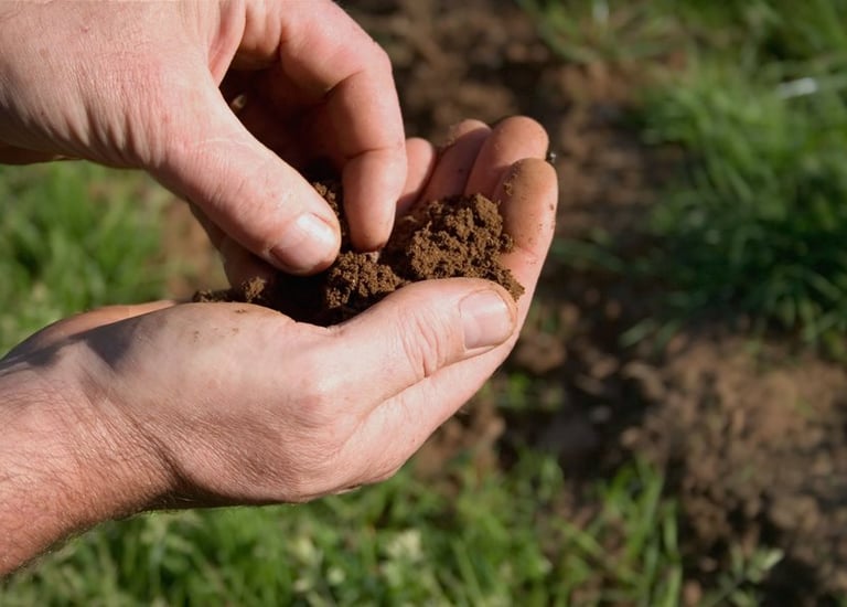 análise do solo no paisagismo