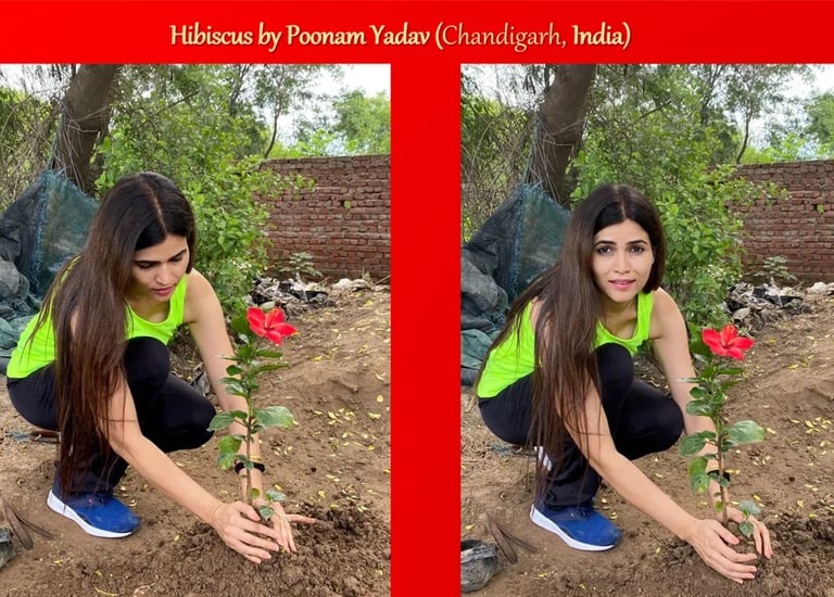 Mrs India planted a tree to connect people with nature positively to join the movement for sustainability