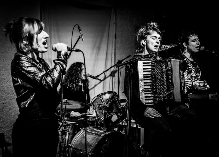 Photo de concert du groupe LA MEUTE