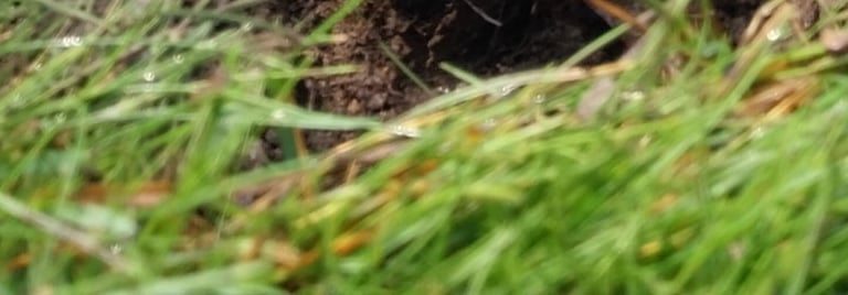 Repairing irrigation sprinkler head