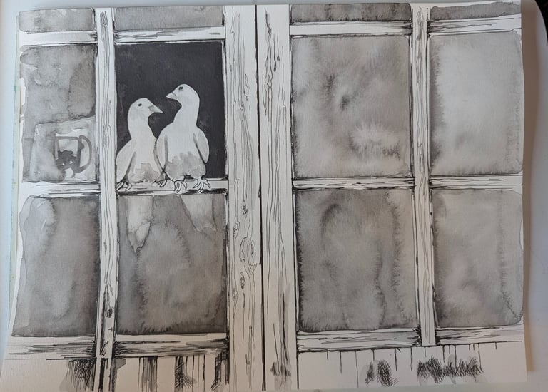 A pair of mated doves sitting in a dark open window rendered in water graphites and micron pen on paper by Kathy LaFollett.
