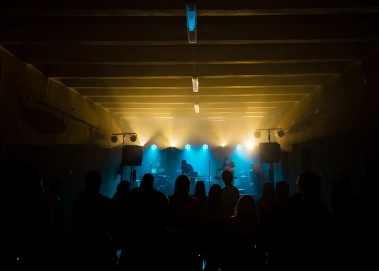 Lietuvos muzikos ir teatro akademijos studentų atstovybės renginys. Nuotr. J. Satkūnaitė