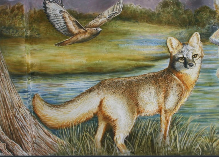 Detail of a red fox and red-tailed hawk from a 130-foot Texas Hill Country wildlife mural by Austin 