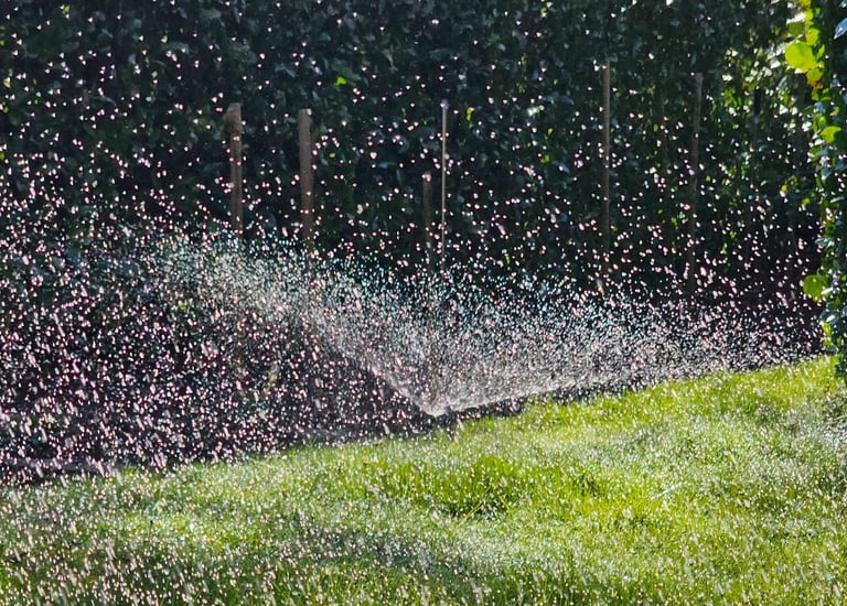 a sprinkler sprinkles in the grass