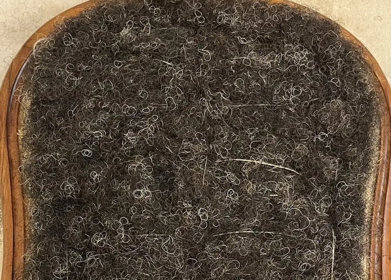 Garniture de dossier recouvert de crin de cheval