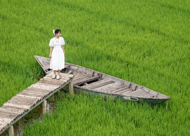 photo of a girl in white dress in a rice paddy field vietnam
