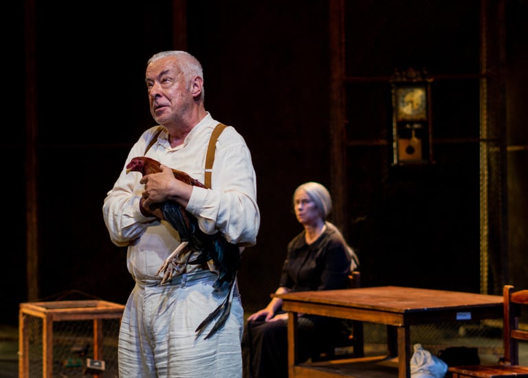 El coronel no tiene quien le escriba teatro, Teatro en Bogota, El coronel no tiene quien le escriba